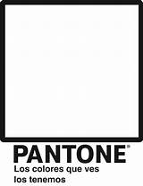 Blanco Pantone Negro Flickr sketch template