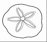 Sand Dollar Coloring Clipart Pages Shell Sea Seashells Drawing Clam Printable Clip Ocean Shells Seashell Outline Template Life Cliparts Sheets sketch template