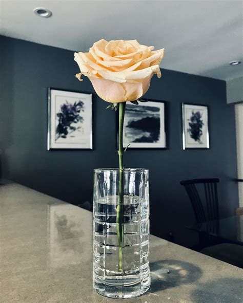Lone Rose Glass Vase Vase Glass