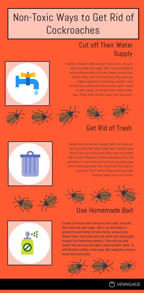 non toxic ways to get rid of cockroaches [infographic] cockroaches