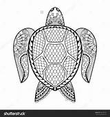 Coloring Turtle Pages Adult Printable Adults Sea Animals Baby Mandala Colorings Antistress Vector Leatherback Animal Getcolorings Getdrawings Turtles животные Color sketch template