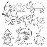 Coloring Pages Reptile Template sketch template