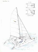 Catamaran Drawing Getdrawings sketch template