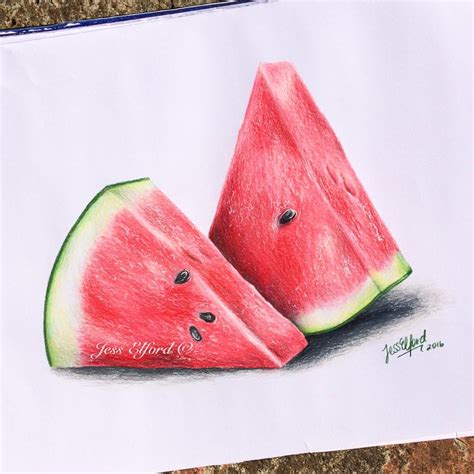 watermelon drawing  getdrawings