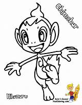 Coloring Chimchar Pokemon Pages Popular sketch template