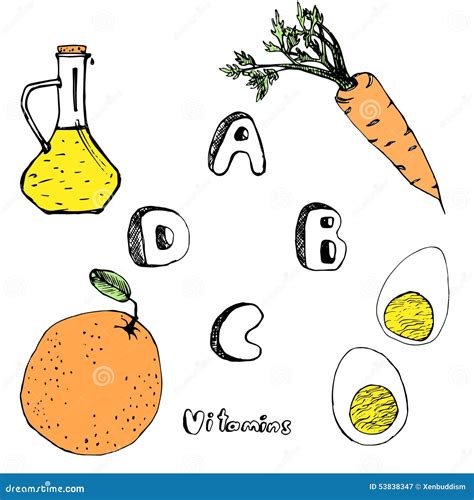 abcd vitamins  foods stock illustration illustration  health