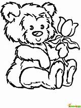 Coloring Bear Pages Teddy Color Cartoon Choose Board Rose Printable sketch template