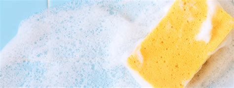 sponges clean bunzl cleaning hygiene supplies blog