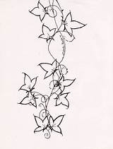 Ivy Poison Edera Efeu Towards Fewer sketch template