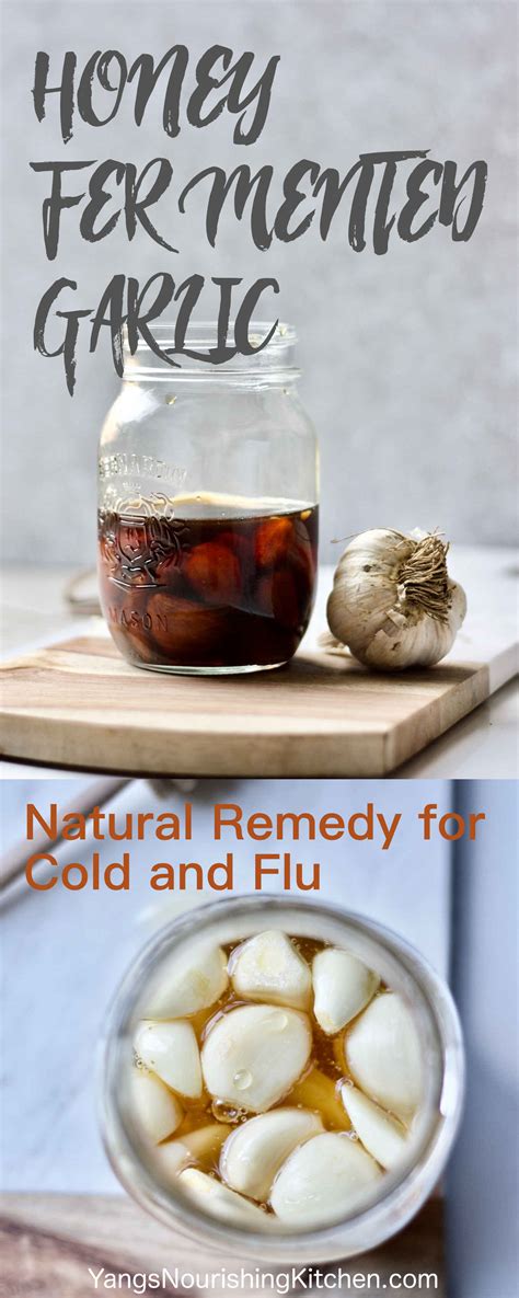honey fermented garlic a natural remedy for cold and flu