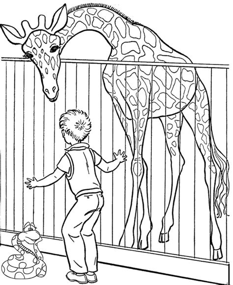 zoo giraffe coloring page  children