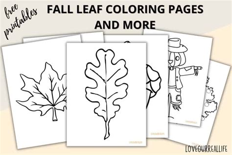 fall leaves coloring pages  printable leaf templates love