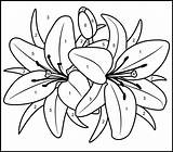Numbers Paint Printable Adults Coloring Pages Number Color Easy Flowers Colouring Printables Simple Print Flower Lily Lilies Comments Kid Drawings sketch template