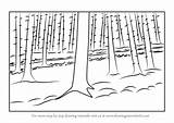 Forest Drawing Draw Trees Step Forests Tutorials Tutorial sketch template