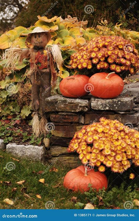 scarecrow  pumpkins stock image image  foliage