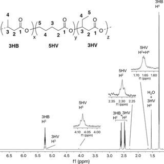 hb fractions  phb  hb produced relative  initial hb  scientific diagram