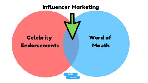 The Influencer Marketing Guide Everything You Need To Know