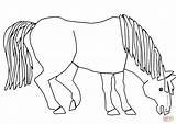 Horse Coloring Blue Do Pages Bear Brown Supercoloring Printable Carle Color Eric Template Colouring Horses Activities sketch template