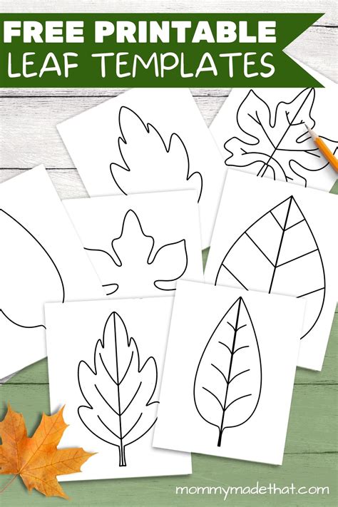 giant paper leaf template  printable templates