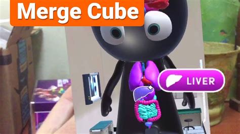 body  merge cube human anatomy  kids  ar youtube