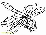 Dragonfly Coloring Pages Printable Outline Drawing Template Dragon Print Cartoon Templates Dragonflies Drawings Color Getcolorings Getdrawings Printablee Adults Jax Pyrography sketch template