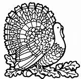 Thanksgiving Coloring Pages Kids sketch template
