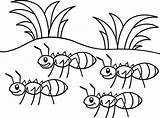 Ants Marching Formiga Ant Formigas Grasshopper Colouring Folha sketch template