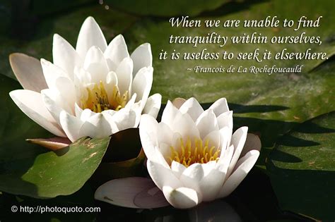 peace  tranquility quotes quotesgram