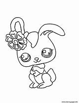Coloring Pet Shop Littlest Pages Printable Print Lps Cartoon Color Bunny Scribblefun sketch template