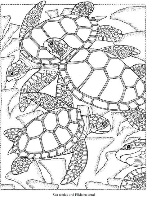 beach coloring pages  adults printable  getdrawings