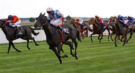 horse racing jockey information  type  assist  choose extra profitable bets  sports