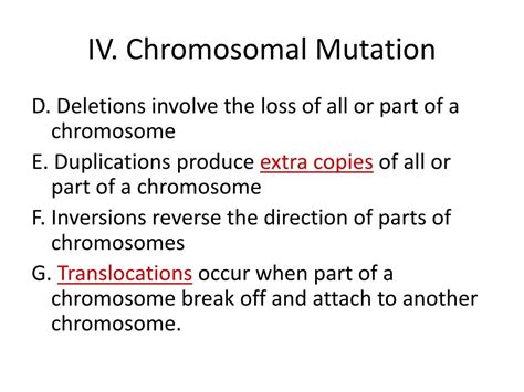 ppt karyotype and chromosomal mutation notes powerpoint