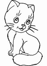 Animali Facili Disegnare Katzen Colorati Peppa Plastique Dingue sketch template