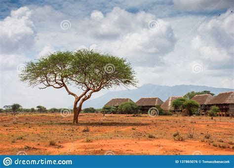 Ngutuni Safari Lodge Beautiful African Landscape Lone