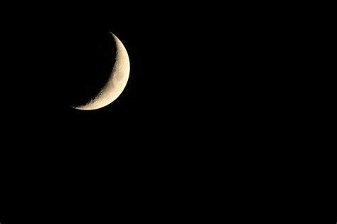 crescent moon patrick johanneson