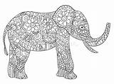 Elephant Elefante Adulti Libro Vettore Gli Zentangle sketch template