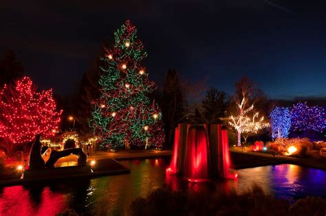 lights illuminating  denver botanic gardens   holiday