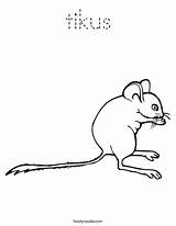 Coloring Mouse Pages Worksheet Gray Tikus Sheet Gris Book Rodents Printable Grise Souris Est La Kids Seuss Dr Mm Ratón sketch template