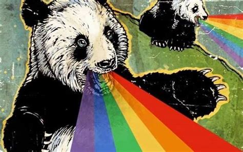 rainbow panda art panda cute pictures