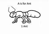 Coloring Ant Pages Insect sketch template