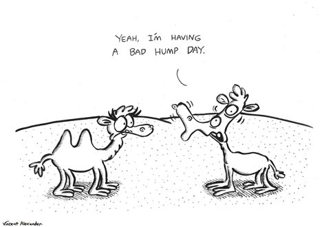 Vincent Alexander Cartoons Bad Hump Day