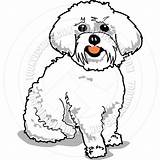Maltese Clipground Terrier Gonnafly sketch template