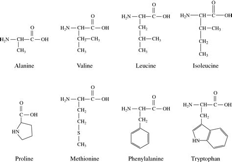 hydrophobic amino acids toolasopa