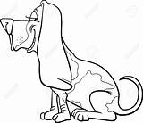 Basset Hound Coloring Coon Dog Cartoon Drawing Dogs Hunting Funny Illustration Getdrawings sketch template