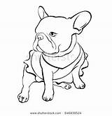 Bulldog French Coloring Pages Color Getcolorings Printable Colouring Getdrawings sketch template