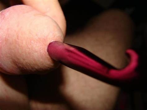 extremely cock pumping and insertions pichunter