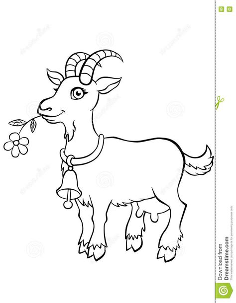 goat coloring pages yunus coloring pages