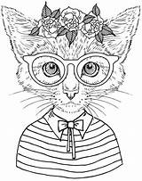 Coloring Pages Adult Cats Blank Template sketch template