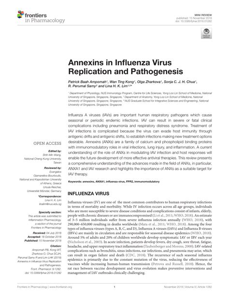 Pdf Annexins In Influenza Virus Replication And Pathogenesis