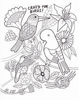 Birds Activities Bird Printables Crazy Coloring Sheet sketch template